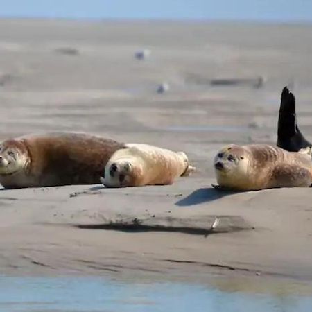 Gite Escale Oceania En Baie De Somme A Ault, 50M De La Mer Luaran gambar